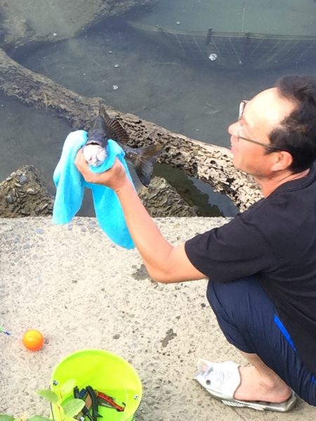 久々のチヌにたにもっさん。歓喜する